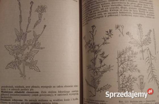 Klucz do oznaczania chorób roślin Przewodnik do Książki naukowe i popularnonaukowe Łódź