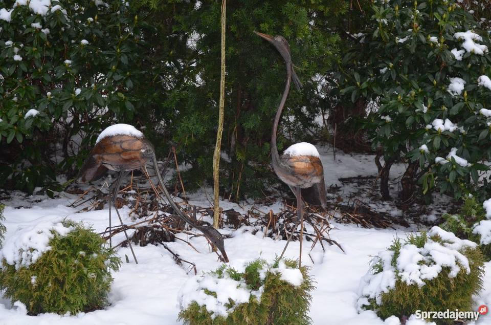 Ptak 110 metalowe do ogrodu rzeźba ogrodowa Lębork