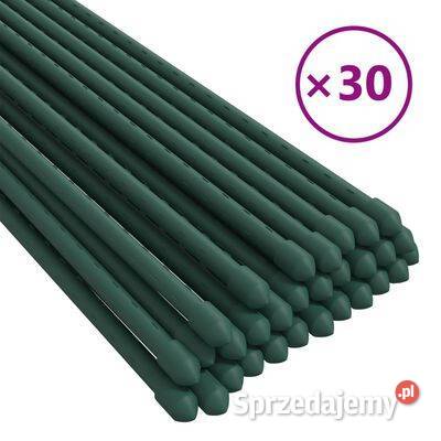 vidaXL Podpórki do roślin 30 zielone 150 Warszawa