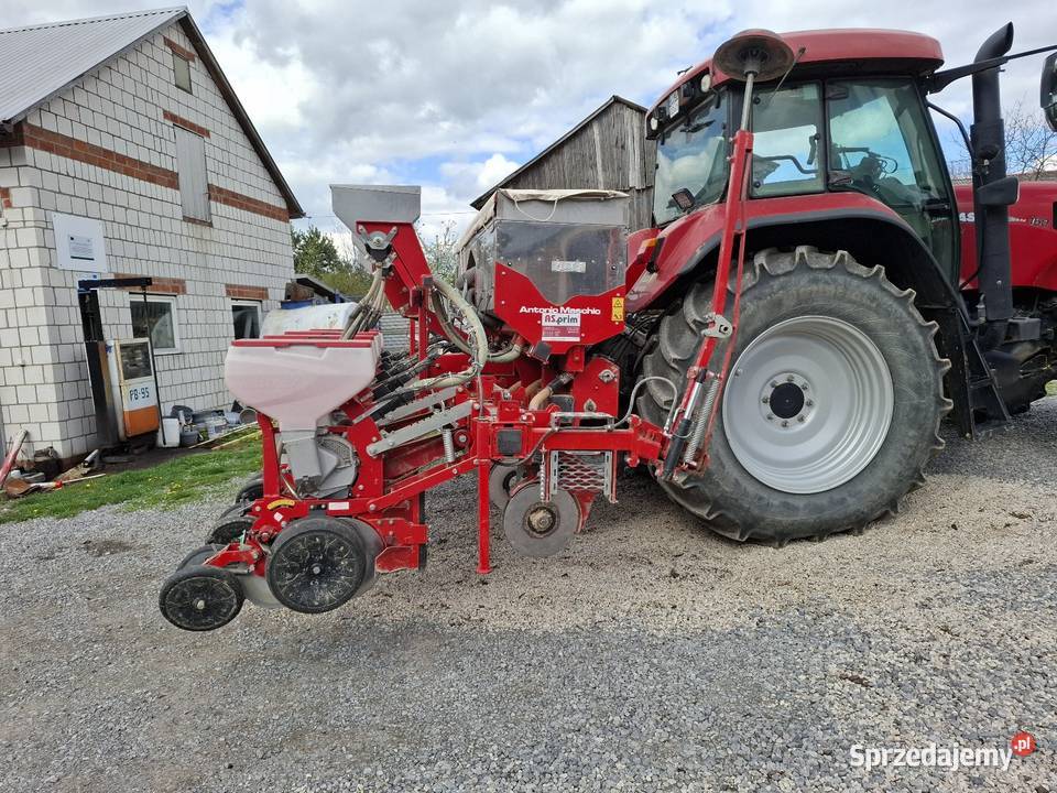 Siewnik do kukurydzy buraków rzepaku Siewniki i sadzarki