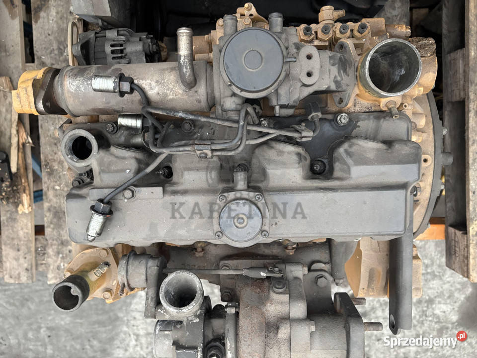 Cat Caterpillar C33B Silnik Jastrzębniki