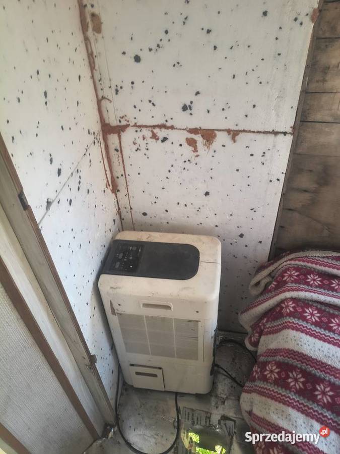 Kemping na budowę dzialke Kostrzyn nad Odrą