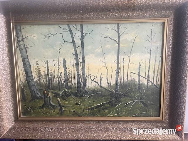 Piękne obrazy w ozdobnej ramie Opole sprzedam