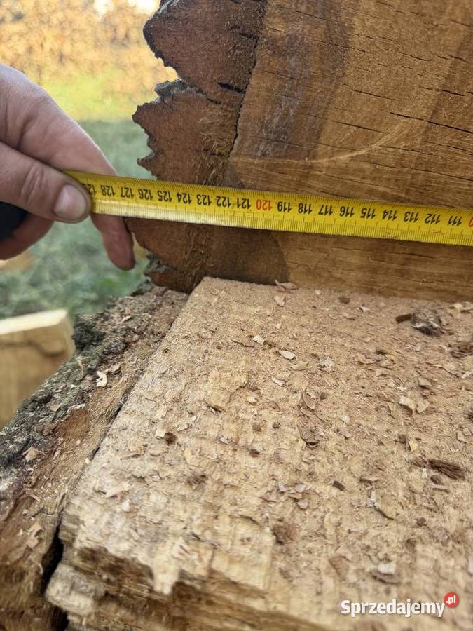 Piękna kłoda dębu Ogrzewanie łódzkie Góra Świętej Małgorzaty sprzedam