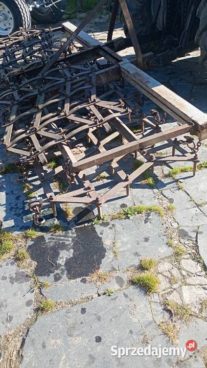 Brona brony zebowe Tczewskie Łąki