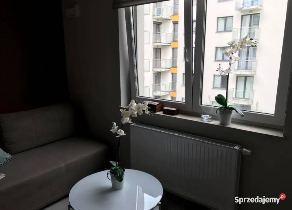 1pok 20met Legnickiej GARAŻWINDA2017 Wrocław