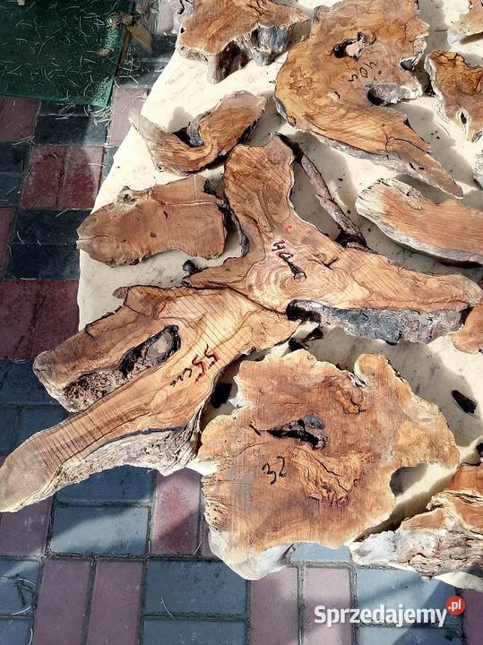 Drewno oliwne deski małe kawałki wielkopolskie Nowy Tomyśl