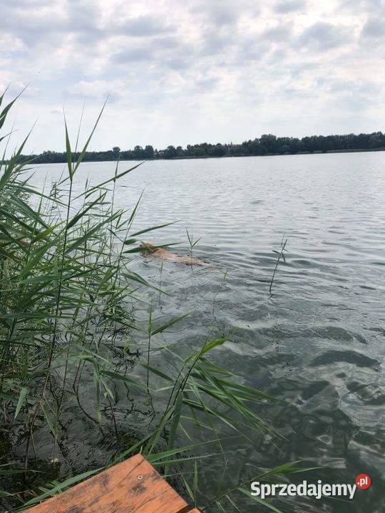 Działka jeziorem Głuszyńskim Nieruchomości kujawsko-pomorskie sprzedam