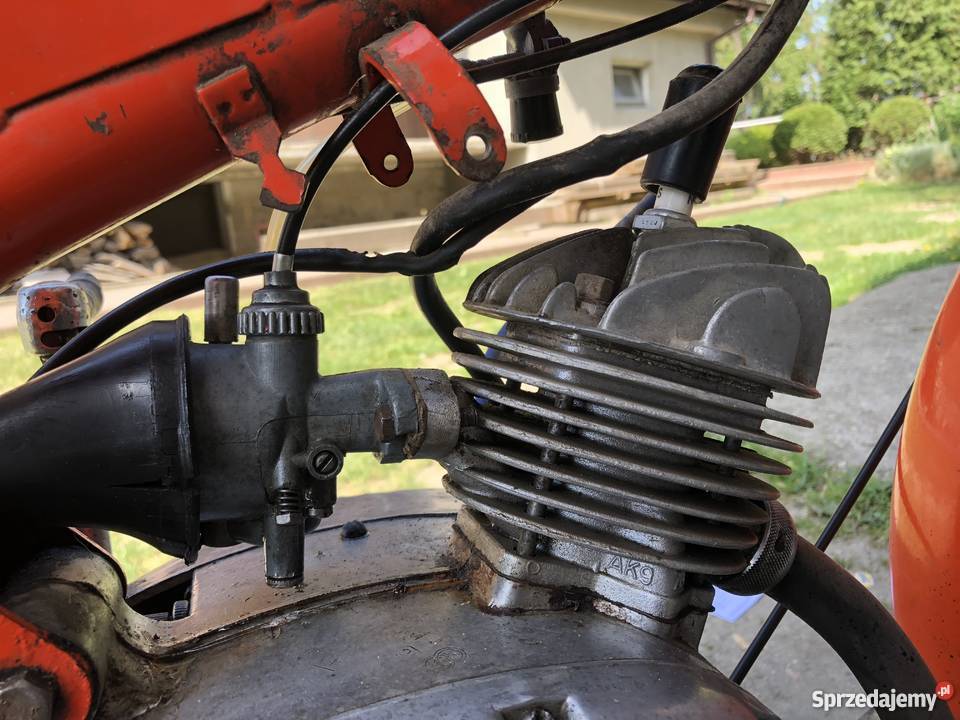 Komar sprawny 100 małopolskie