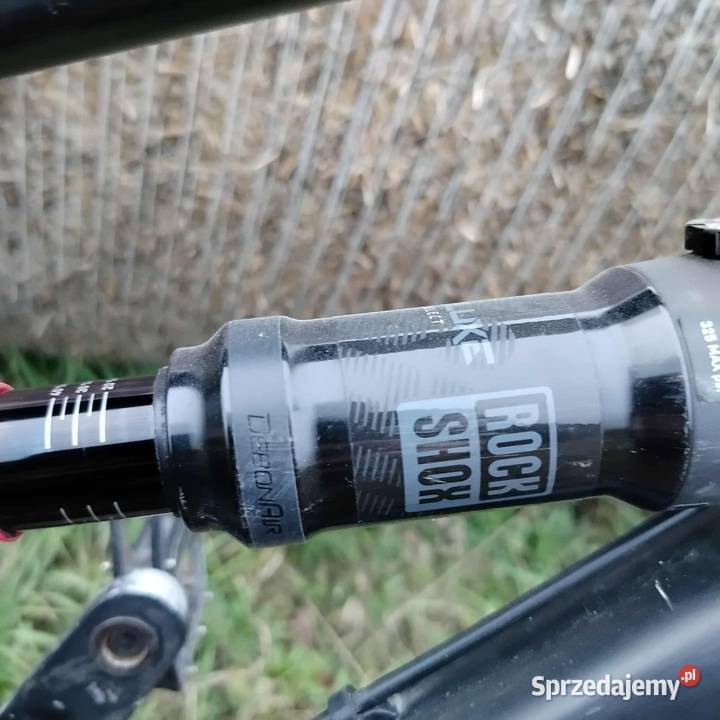 Dartmoor Black Bird Doinwestowany Brzeźnica-Kolonia