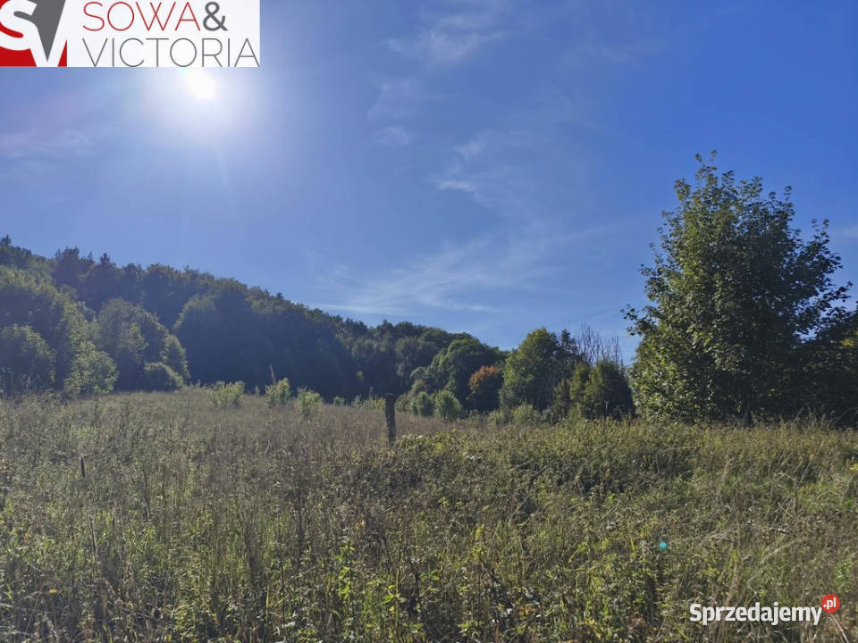 Działka rolnoleśna Grunty i działki
