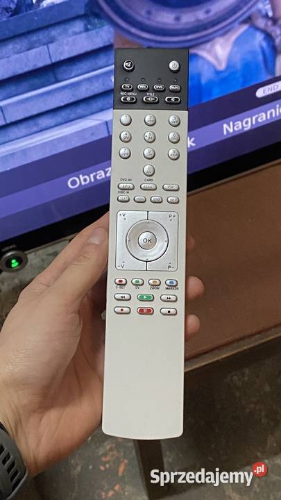 Telewizor Loewe Individual 55 Budno