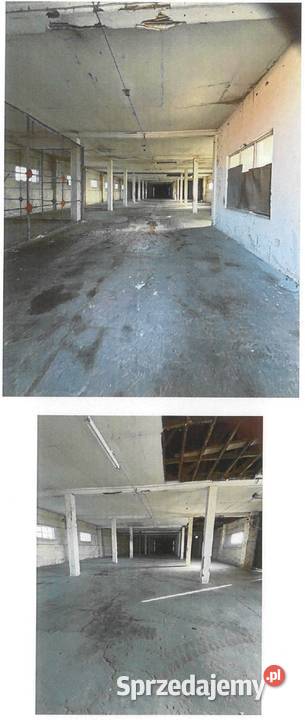 Magazyn i grunty niezabudowane sprzedam