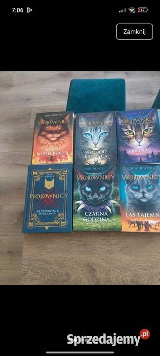 Zestaw książek Wojownicy Erin Hunter świętokrzyskie Mirzec