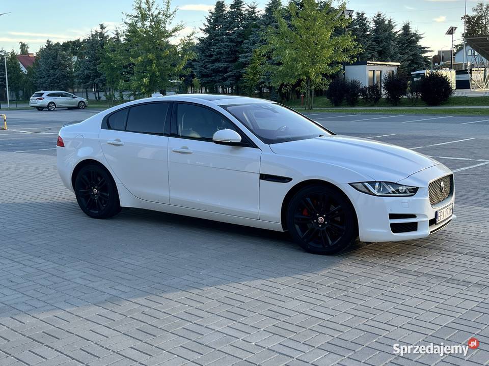Jaguar XE Dworszowice Pakoszowe