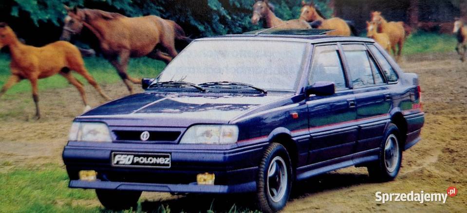 Szyberdach Panorama webasto hollandia roletka osobowe Puławy