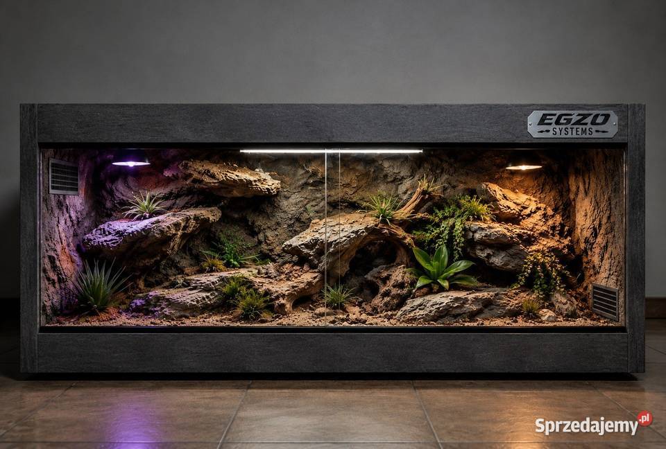 Terrarium gekona lamparciego żółwia greckiego śląskie Piekary Śląskie