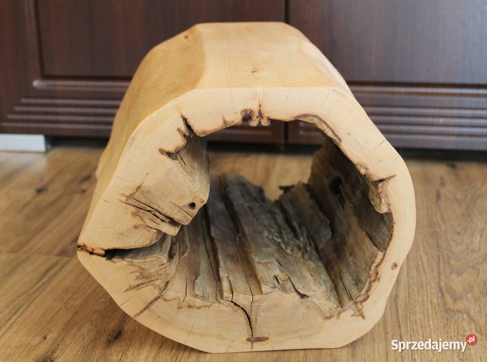 Kwietnik z pnia Siekierki Małe