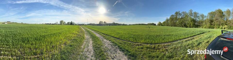 Gospodarstwo rolne z siedliskiem Sompolno