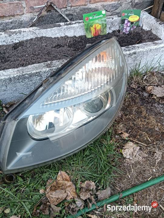 Lampy Scenic II Xenon całe kompletne eu wielkopolskie Poniec