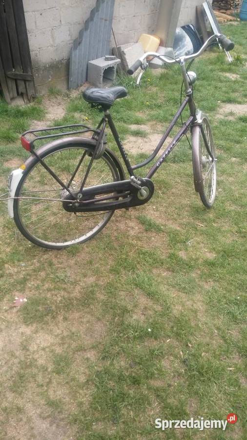 Rower gazelle impala Gózd