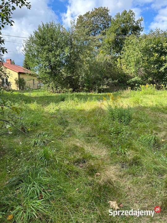 Działka budowlana 4304 m z drewnianym domem Różyca