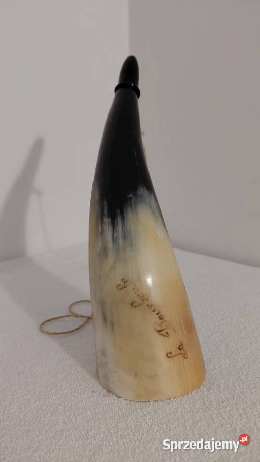 róg myśliwski bawoli