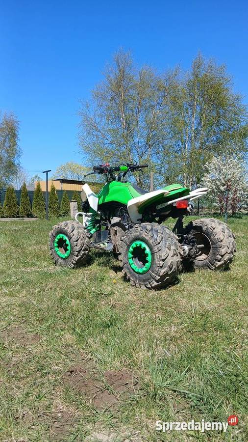 2019 Barton 125ccm Nieczulice