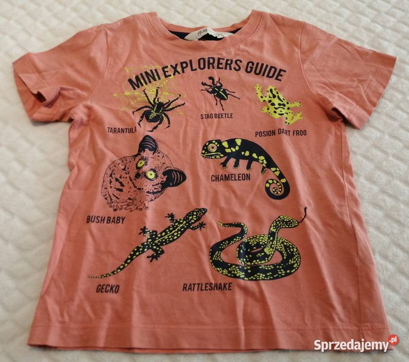 Koszulka krótki rękaw łososiowa 98104 HM Odzież