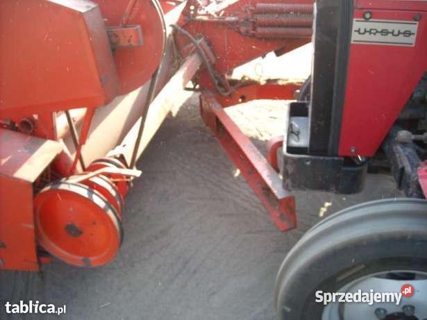 bizon zo20 Strzyże sprzedam