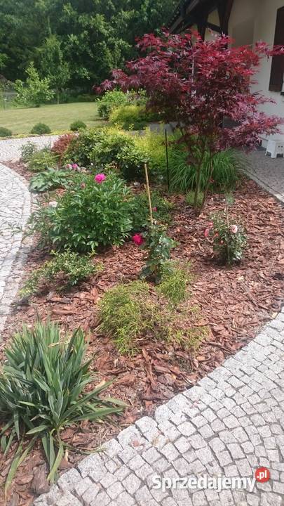 Kora Sosnowa ogrodowa dekoracyjna worek 80l małopolskie Bucze