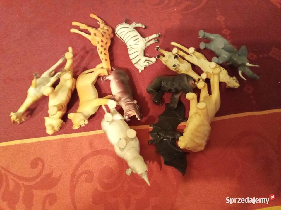 Safari zwierzęta średnie mazowieckie Warszawa