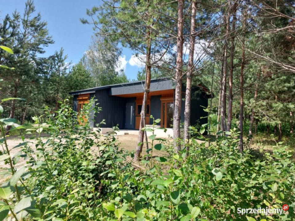 Domek rekreacyjny sprzedam Liczba pokoi 2 podkarpackie Gogołów