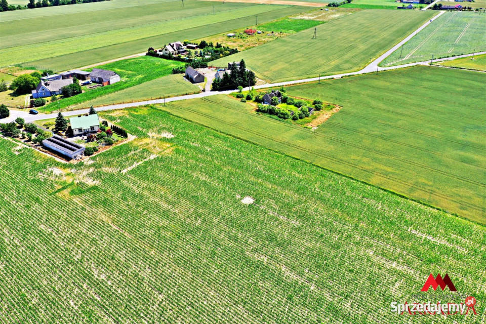Działka Brzezie 6121m2 34zł/m2