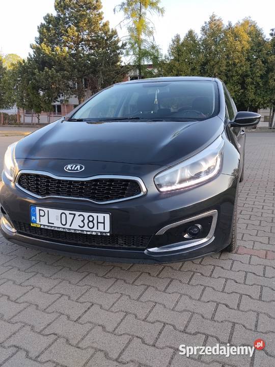 Kia ceed 2 wielkopolskie Leszno