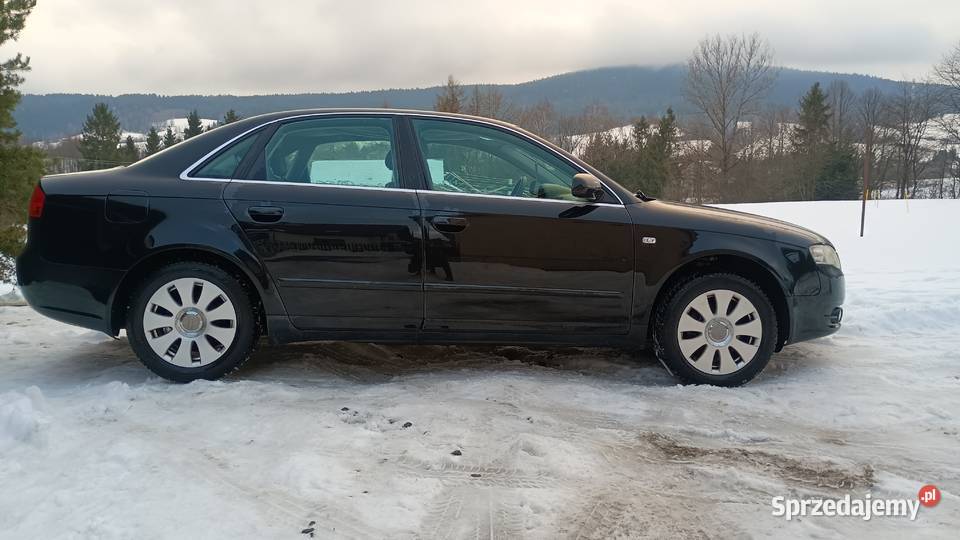 Audi A4 B7 19 TDI 116