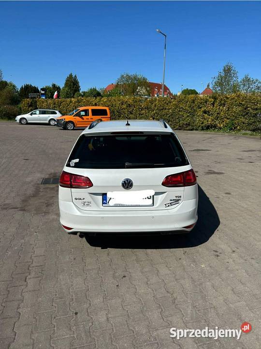 Volkswagen Golf 7 Golf Gryfice sprzedam