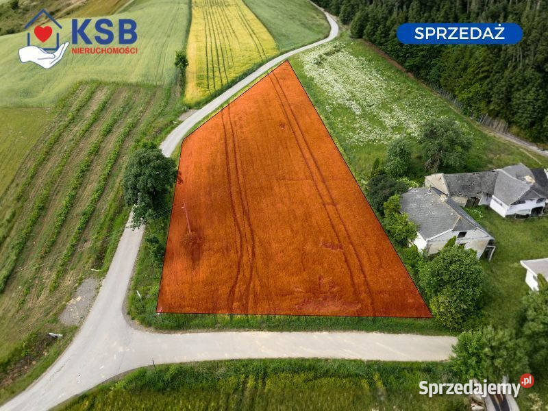 Ustawna działka z WZ 2500m2 Czajęcice szambo