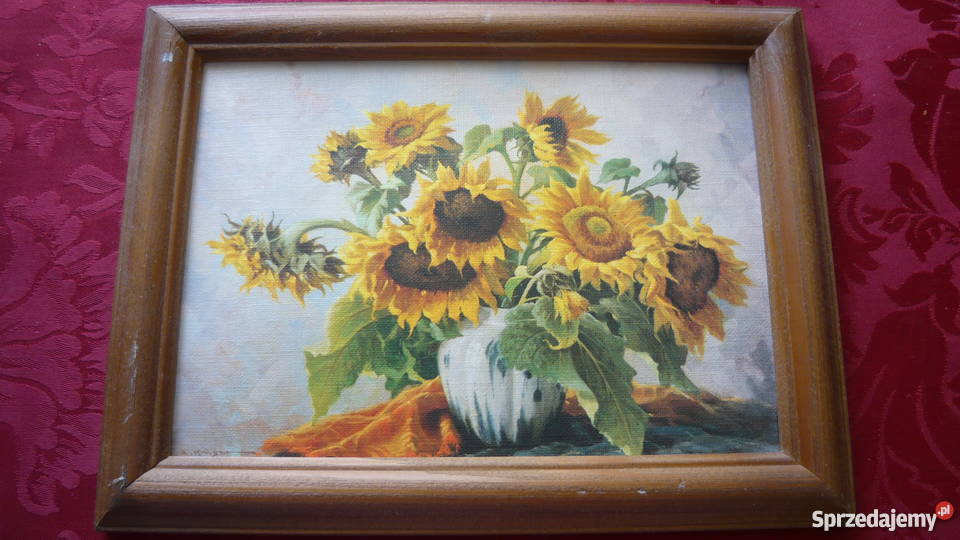 Obrazek słoneczniki Myszków