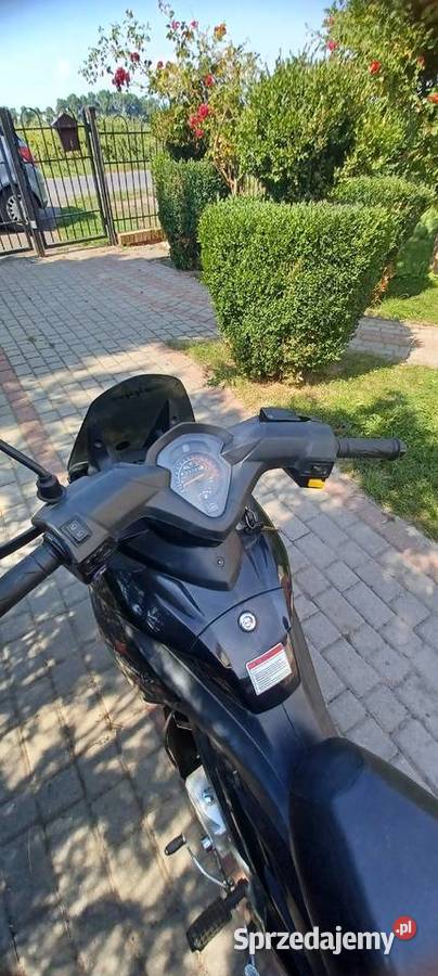 Zipp shock 50 4KM