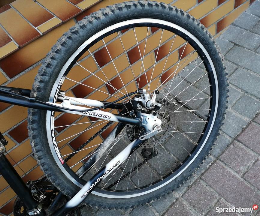 Rower Magnum ELITE pomorskie