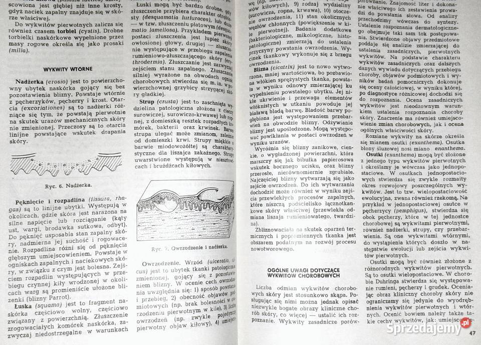 Zarys chorób skóry Antoni Czernielewski Pozostałe lubelskie Chełm