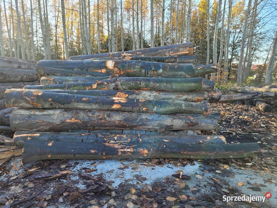 Buk drewno opałowe Łańcut