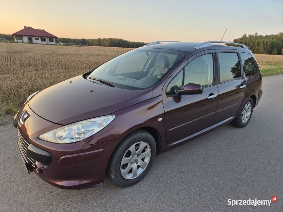 PEUGEOT 307 SW LIFT 16 BENZYNA  109 5 Biegów lubelskie Mejznerzyn sprzedam