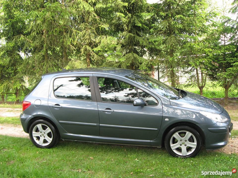 Peugeot 307 LIFT bogata wersja 20 benzyna 143 96 radio / CD lubelskie Kazimierz Dolny sprzedam