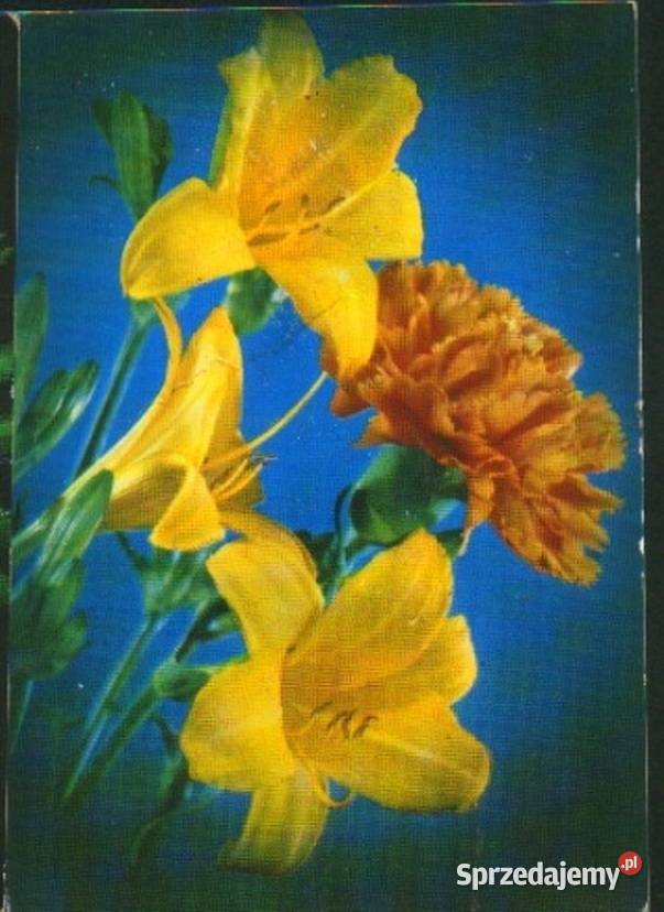 3 Kartki poczt temat Kwiaty z koresp Gliwice