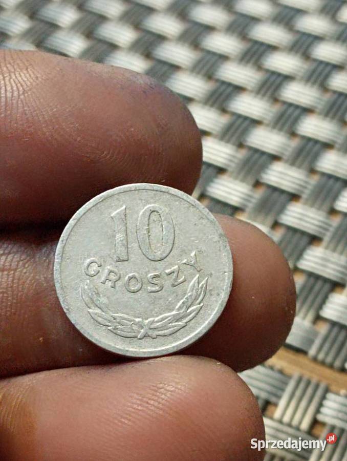 sprzedam 10 gr 1969 Chełm sprzedam