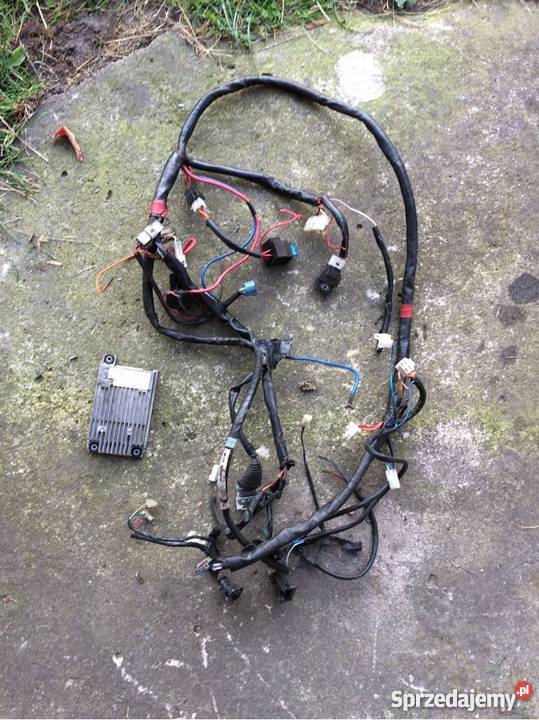 Elektryka Aprilia Sr Morini wtrysk wielkopolskie Grodzisk Wielkopolski