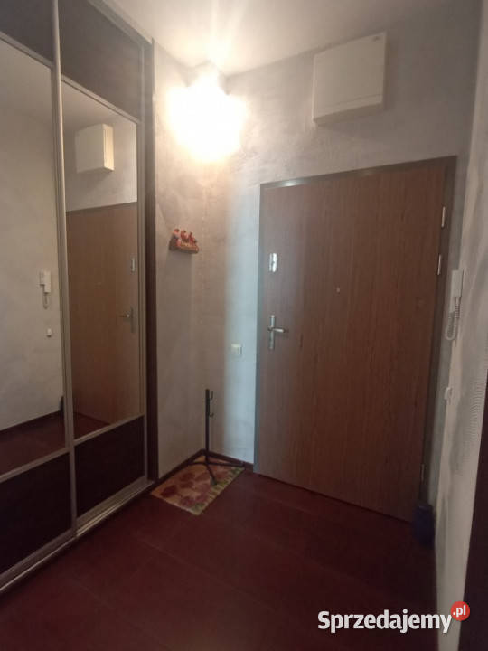 Słoneczne mieszkanie 63 m2 Osiedle Sokołówka Rok budowy 2014 łódzkie Łódź