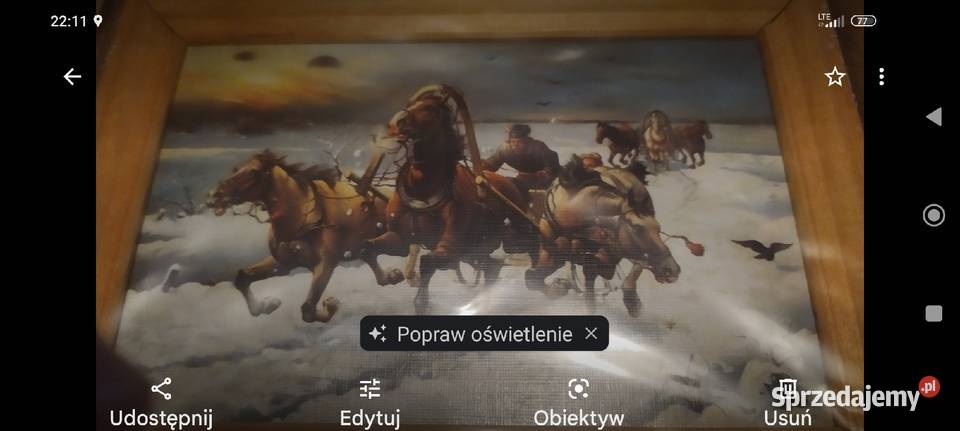 Obraz reprodukcja Konie w galopie Wrocław